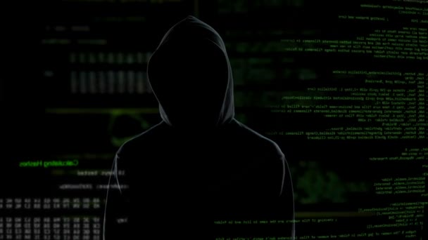 Системи захисту перевантажені, атаки на урядові та приватні сайти — стокове відео