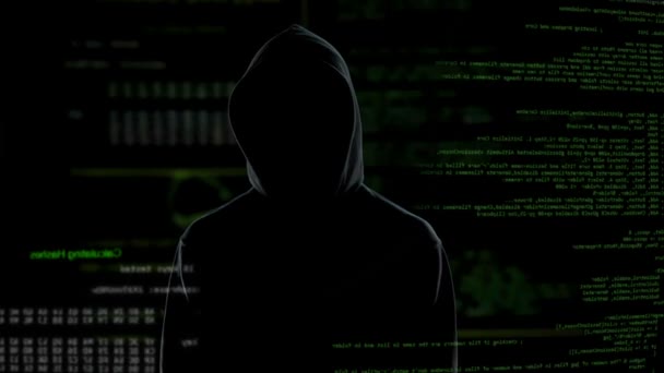 Прийнятий ключ розшифрування, хакер знаходить пароль для електронної пошти з секретними даними — стокове відео