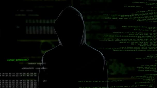 Systems files infected message, silhouette hacker spreading virus in internet — Stock Video
