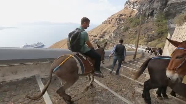 Mann reitet auf Esel die Küstenstraße hinunter und passiert mehrere Esel, die an Mauer stehen — Stockvideo