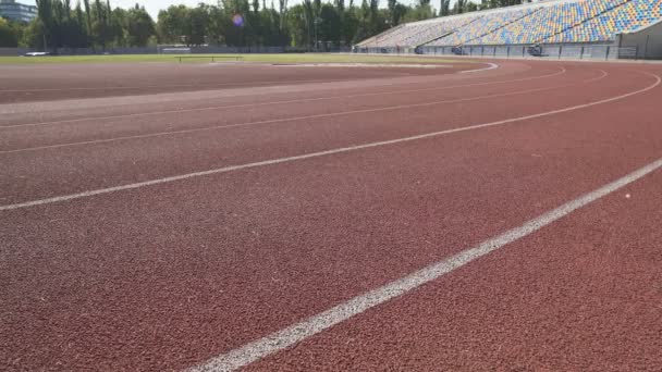 Två idrottare från sport team som kör runt stadion inför marathon — Stockvideo