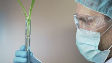 Kozmetik laboratuar asistanı karşılaştırma örnekleri, gelişmekte olan cilt bakım maskesi, kozmetik