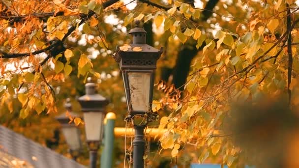 Old vintage lantern at yellow autumn park with wind-blown leaves, nature in park — Stock Video