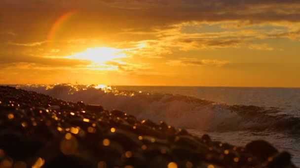 Closeup of foamy sea waves washing pebble beach at sunset, relaxing landscape — Stock Video