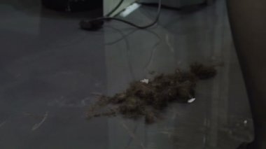 Salonda çöp saç toplama, temiz kadar sonraki müşteri için hazırlanıyor hizmetli