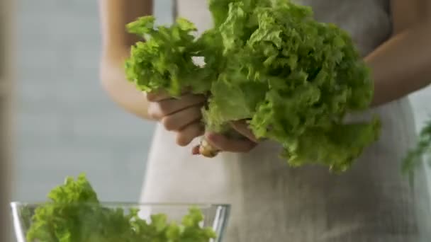 Fille diviser les feuilles de laitue et mettre dans un bol, faire de la salade bio fraîche — Video