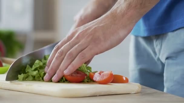 Mãos de correio fechadas cortando tomates e folhas de alface fazendo salada de legumes — Vídeo de Stock