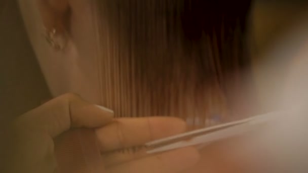 Coiffeur couper les cheveux pour le client faisant la coiffure, salon de beauté féminin — Video