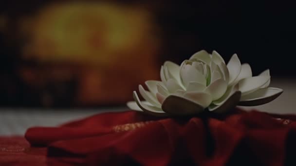White lotus lying on couch, oriental atmosphere of relaxation and inspiration — Stock Video