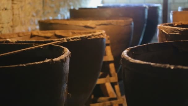 Вид на древние погреба с огромными чанами, виноделие, традиции — стоковое видео