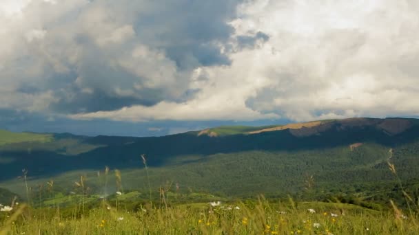 Prados verdes de flores silvestres com céu de nuvens acima, bela paisagem montanhosa — Vídeo de Stock
