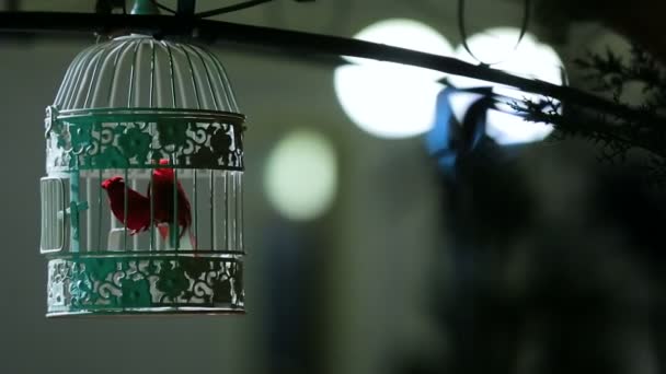 Kleiner Singvogel im schönen verschlossenen Käfig, Straßendekoration, Innenausstattung — Stockvideo