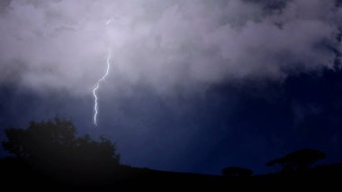 Kontur dallı yıldırım bulutun dışına vuruyor ve ağaçlar grev