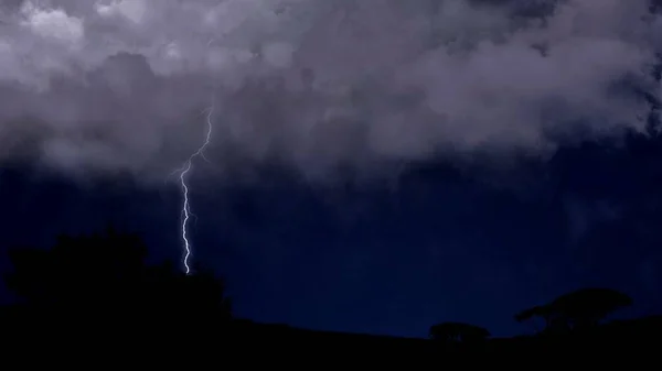 Los rayos de fuego eléctricos golpean desde las nubes hasta el suelo en el campo del desierto, el clima —  Fotos de Stock
