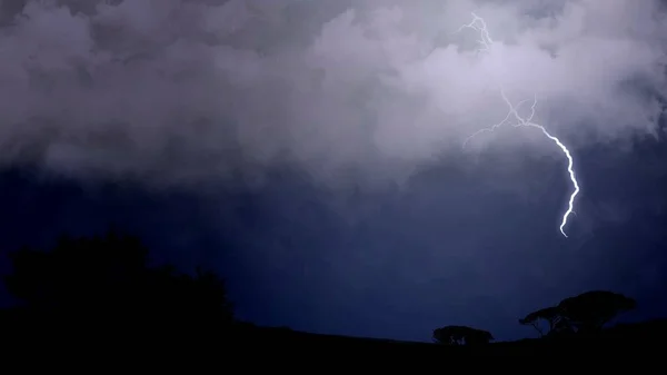 Beautiful lightning above the park area, dramatic background, nature and weather — Stock Photo, Image