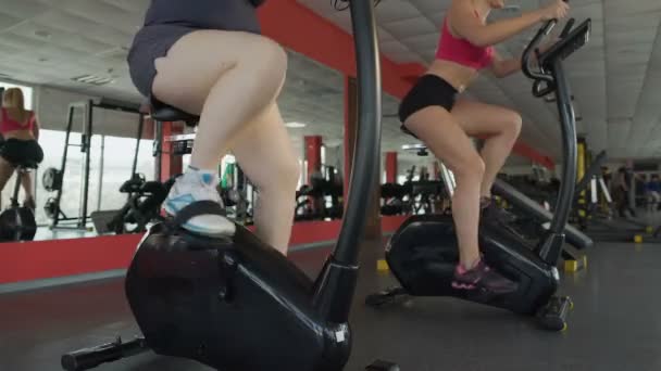 Jambes de femmes dodues et minces pédalant sur des vélos stationnaires dans le gymnase, le sport — Video