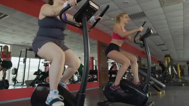 Mujeres motivadas con sobrepeso y atléticas montando una bicicleta estática en el gimnasio — Vídeos de Stock