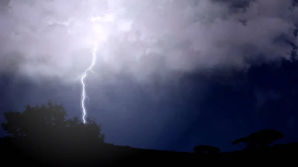 Fourche éclair frappant vers le bas pendant la tempête d'été, belle scène, temps — Photo