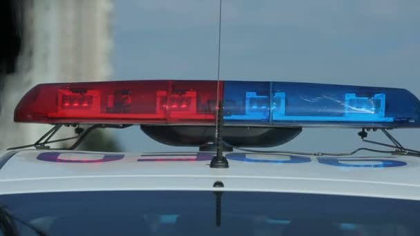Lampeggiante barra luci stroboscopiche sul trasporto della polizia, pattuglia auto scena del crimine, segnale — Video Stock