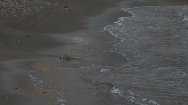 Wellen wälzen sich auf sandige Meeresküste und hinterlassen Gezeitenspuren an Land, Zeitlupe — Stockvideo