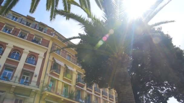 リゾート地、夏の休暇旅行の美しいホテルの建物とヤシの木 — ストック動画