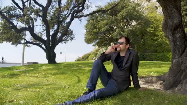 Ağaç, yakındaki yeşil çimenlerin üzerinde oturan rahat iş kişi konuşmak Smartphone — Stok video