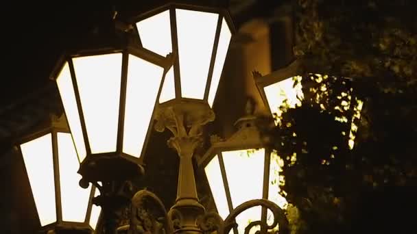 Alberi fruscio vicino a lanterne di strada vintage illuminate, tempesta di vento nella notte buia — Video Stock