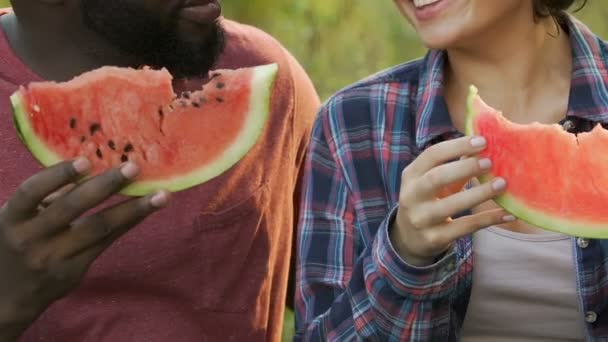 Pareja degustación de sandía fresca durante la fecha exterior en el parque, nutrición saludable — Vídeo de stock