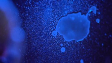 Kurbana cam pencere üzerinden kapalı silerek, soruşturma kafa karıştırıcı katil