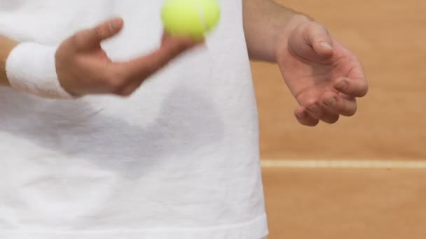 Sportsman tenant une balle de tennis, nerveux avant le match, entraînements en plein air, gros plan — Video