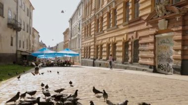 Lviv, Ukrayna - Temmuz 2017 yaklaşık: İnsanlar şehirde. Şehir yaz gününde sokak alarak yabani güvercin kuşları bakarak geçen kadın