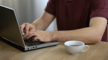 Dizüstü bilgisayar yazmaya ve evde, çay içme erkek yazar serbest wok, gazeteci