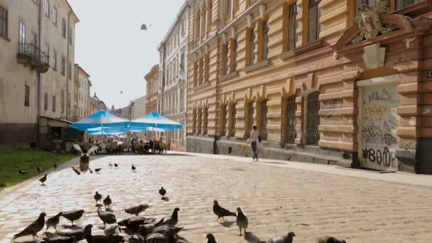 Lvov, Ukrajina - cca červenec 2017: Lidé ve městě. Procházející žena při pohledu na ptáky wild dove sundala městské ulice v letním dni — Stock video