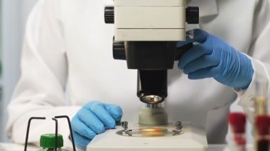 Mikroskop, aşılar, closeup için arama altında kan örneği inceleyerek biyolog