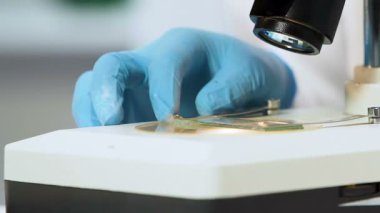 Tıbbi araştırmalar, mikroskop altında örnek analiz bilim adamı, yakın çekim