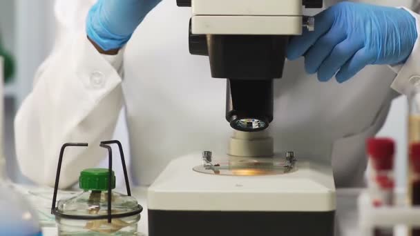Asistente de laboratorio observando sangre bajo microscopio, investigación genética, pruebas de ADN — Vídeos de Stock