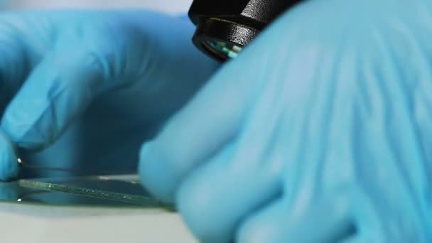 Microscoop vergroot weergave van glasplaatje, de controle van de kwaliteit van het voedsel, bacteriën studie — Stockvideo