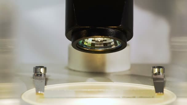 Γυαλί διαφάνεια κάτω από το μικροσκόπιο, έρευνα των ιών, μικροοργανισμούς, βακτήρια — Αρχείο Βίντεο