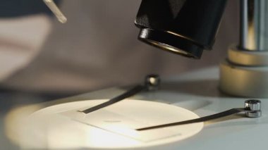 Virüs, mikroorganizmaların araştırma yaparak, mikroskop bakarak bilim adamı