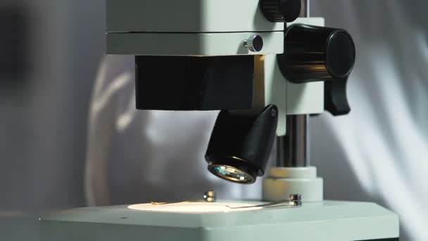 Исследование капли крови под микроскопом, анализ на вирусы, СПИД, гормоны — стоковое видео