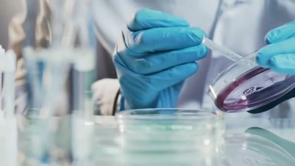 Asistente de laboratorio prueba medicina en placa petri, prueba de control de calidad farmacéutica — Vídeo de stock