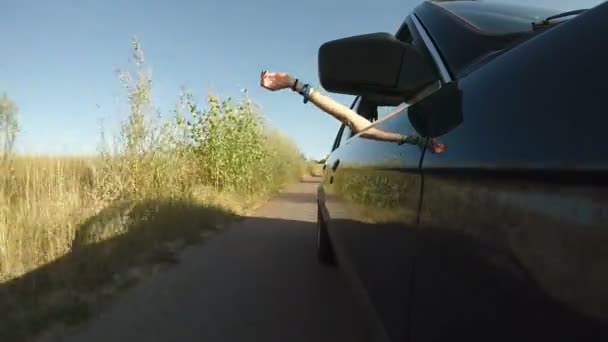 Auto pohybující se podél polí na slunečný letní den, pocit svobody, aktivní Turistika — Stock video