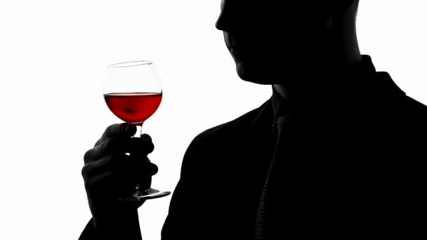 Professional sommelier tasting expensive alcoholic beverage, man drinking cognac — Stock Video