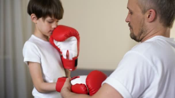 Caring father putting on son arms boxing gloves and teaching to defend himself — Stock Video