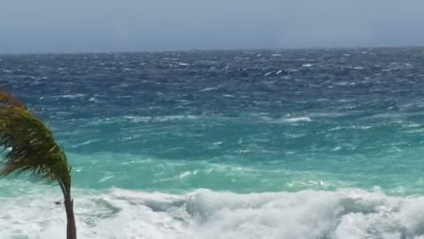 Fortes ondas marinhas espumosas na costa, tempo tempestuoso em Nice, paisagem marinha francesa — Vídeo de Stock