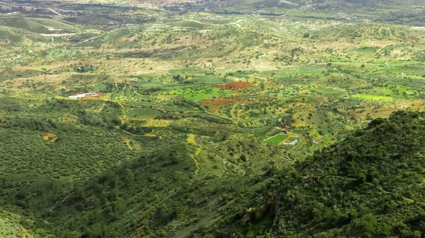 Güzel yeşil peyzaj, dağın tepesinde, Kıbrıs doğa, ekoloji havadan görünümü — Stok fotoğraf