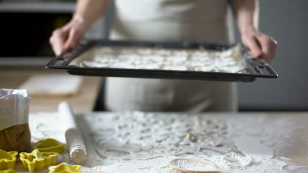 Hands of female baker showing tray with cookies, gingerbread recipe, tv show — Stock Video