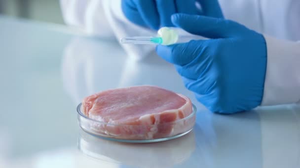 Laboratorní vědec injekční chemické kapaliny v vzorku masa, kontrola kvality potravin