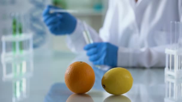 Tavolo da laboratorio arancione e limone, farmacista che lavora sull'estratto di profumeria, aromaterapia — Video Stock