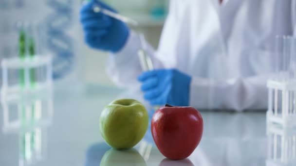 Gröna och röda apple tabell, vetenskapsman kontroll av livsmedelskvalitet, näringsmässiga studier — Stockvideo